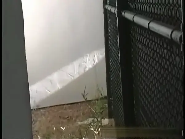 ♠️  I Will Be A Pimped $ex $lave Whore For BNWO™ inc. ♠️ 